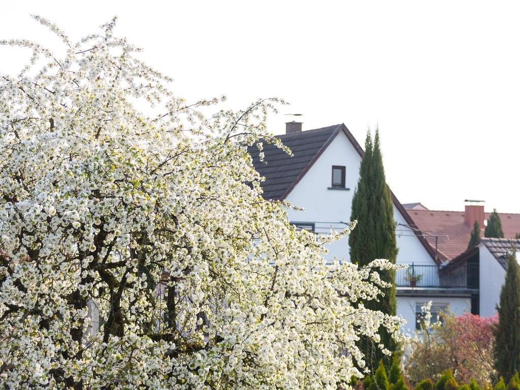 Appartement Living Timeless - Ruster Drachennest, Zentrale Lage In Rust, Nur Wenige Minuten Zum Europa-park & Rulantica Rust